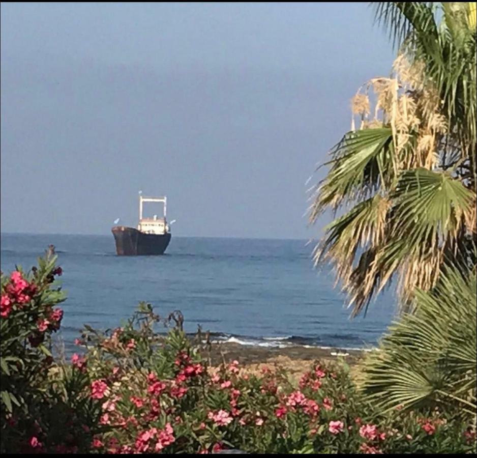 34 Beach Villa Paphos Buitenkant foto